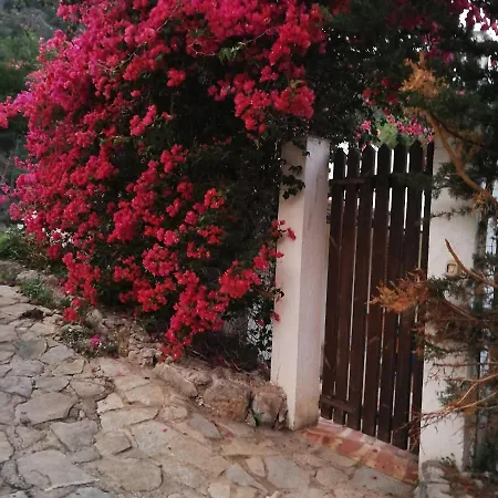 בית הארחה Camera